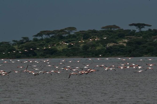 Safari Serengeti And Ngorongoro - Guides Like Maulidi, Timba, and Uncle Thomas: Why the People Matter
