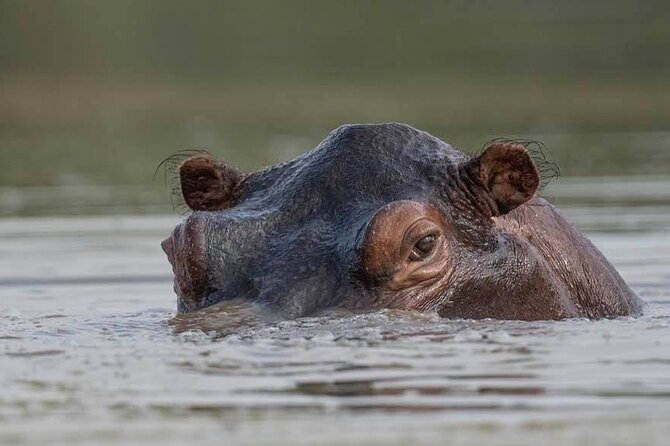 Safari Serengeti And Ngorongoro - Price and Value for a $2,845 Per Person Safari