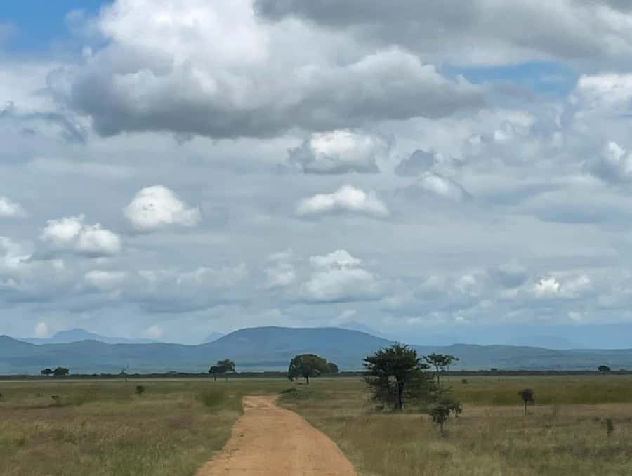SAFARI WILDLIFE FROM ZANZIBAR TO MIKUMI 3 DAYS AND 2 NIGHTS - Day 3: train back to Dar es Salaam and return ferry to Zanzibar