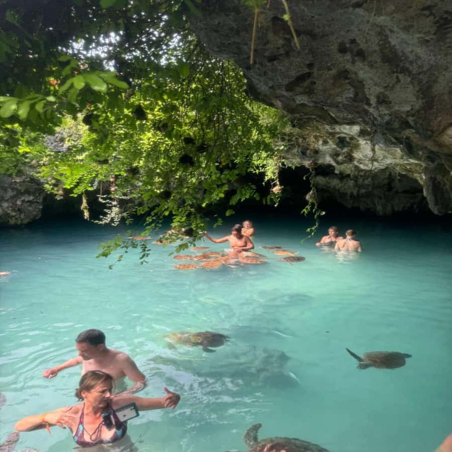 SALAAM CAVE: Swim with turtles & Dine at The Rock Restaurant - Key things that make this tour worth your time