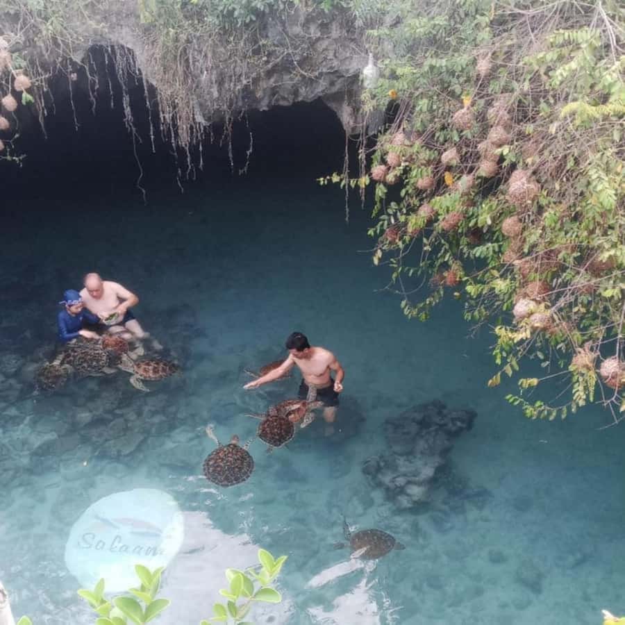 SALAAM CAVE: Swim with turtles & Dine at The Rock Restaurant - Marine life viewing and photo spots without the stress