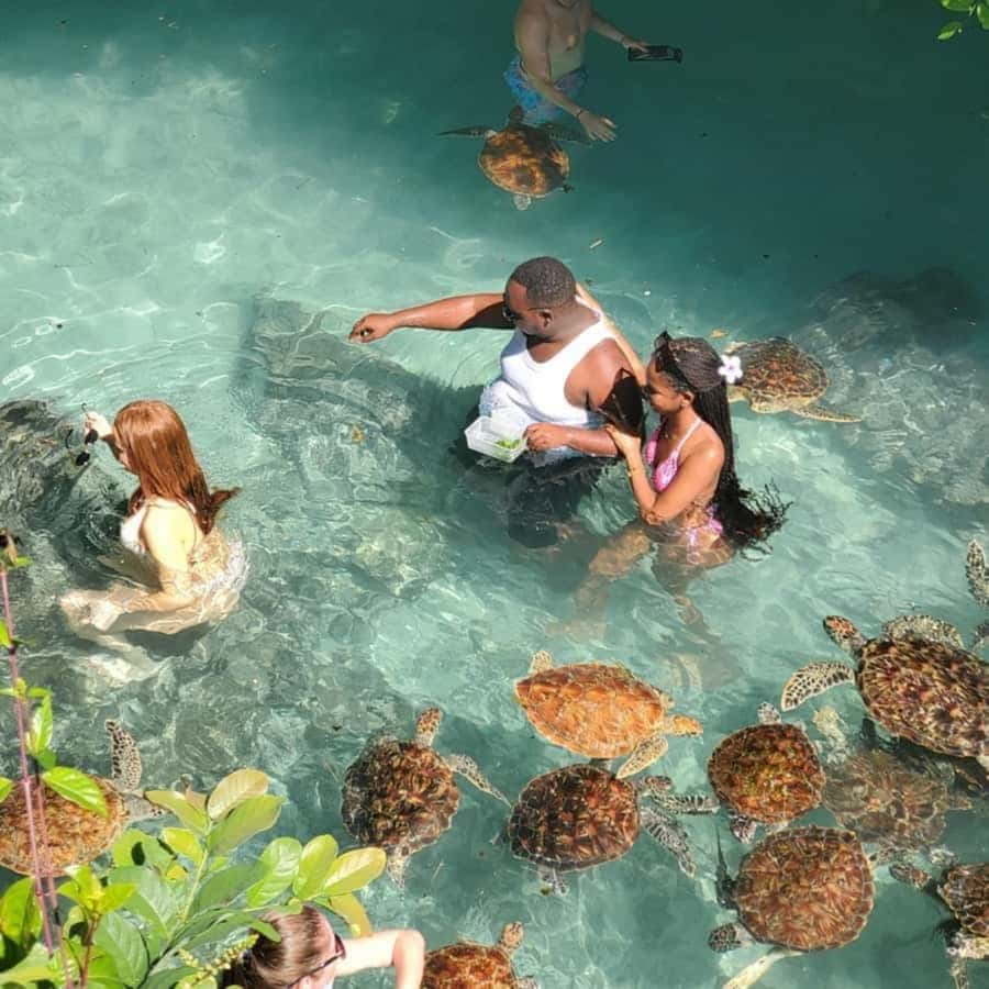 SALAAM CAVE: Swim with turtles & Dine at The Rock Restaurant - Timing the morning: when you arrive for fewer crowds