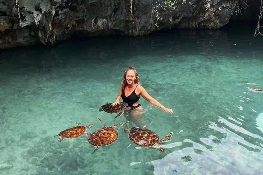 Salaam Cave Swimming & feeding Sea Turtles in Kizimkazi - How the schedule feels in real life, including the short time in the water