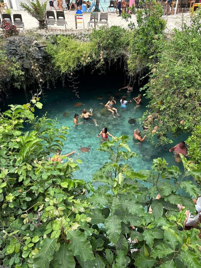 Salaam Cave Swimming & feeding Sea Turtles in Kizimkazi - FAQ