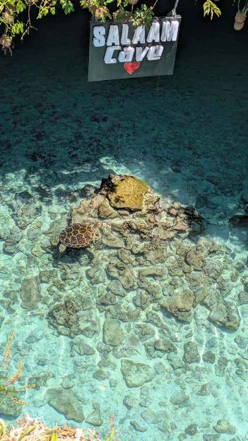 Salaam Cave Swimming with turtles, Mtende Beach & The Rock - What to do in Mtende: swim, walk, and use your eyes