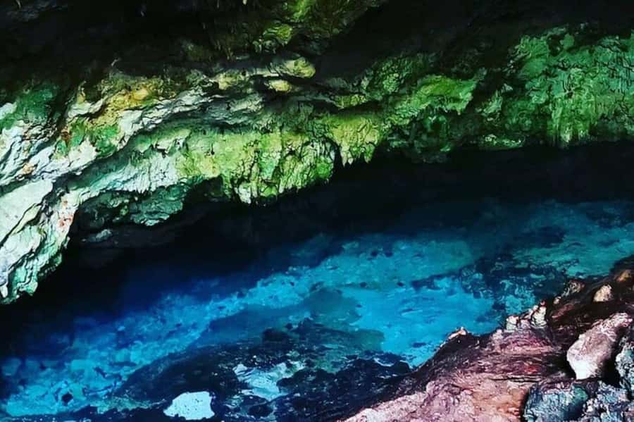 Salaam Cave Tour, Kuza Cave, Paje Beach, Lunch at The Rock - Jozani Mangrove Forest first, not last