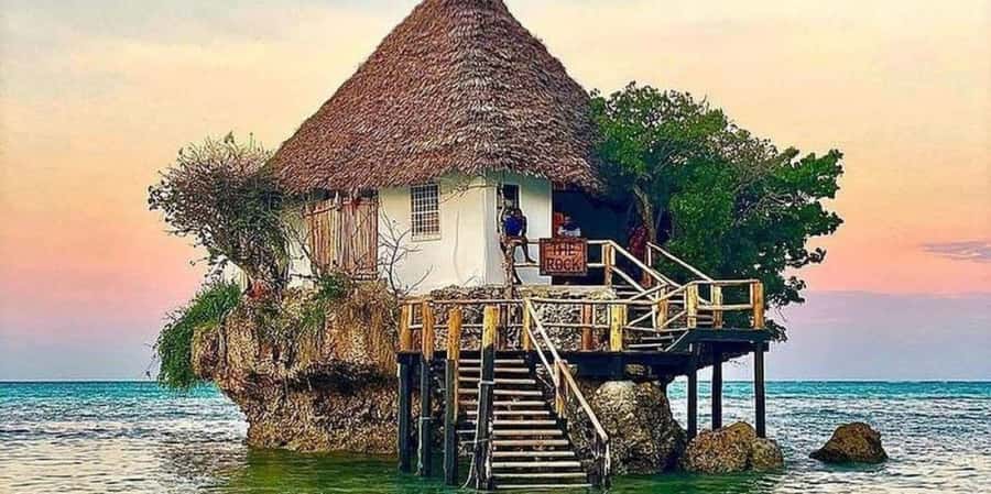 Salaam Cave Tour, Lunch at The Rock, Mnemba Dolphin Tour - Private guide, private boat, and snorkeling gear: how it helps your day