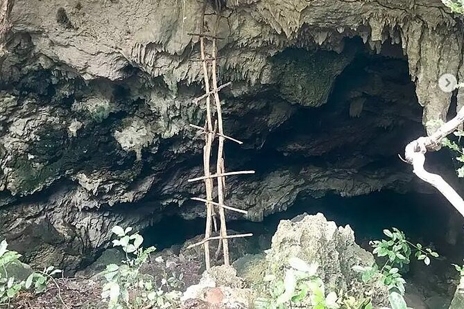 Salaam Cave Zanzibar (Turtles Santuary) - Swimming with marine turtles: the moment you remember