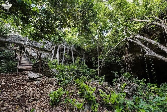 Salaam Cave Zanzibar (Turtles Santuary) - Peace, birds, and photos from above
