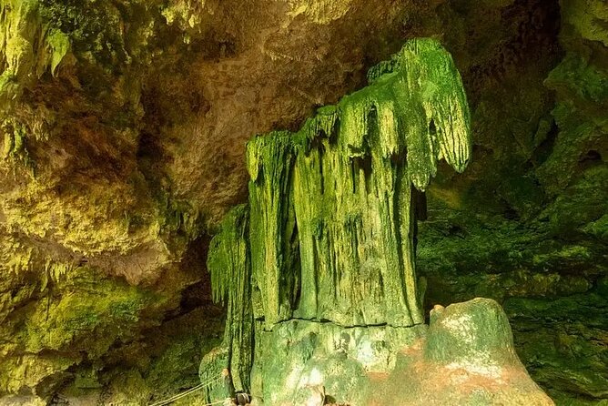 Salaam Cave Zanzibar (Turtles Santuary) - Staff and the on-site comforts you might use