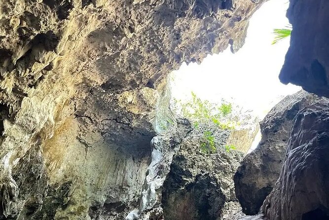 Salaam Cave Zanzibar (Turtles Santuary) - Price and value: what $100 buys you