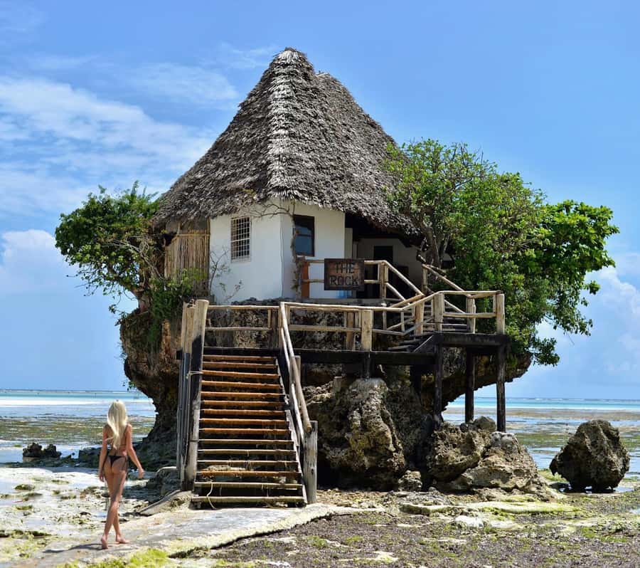 Salam cave turles swimming, paje beach , the Rock Restaurant - Paje Beach: white sand time that balances the wildlife part