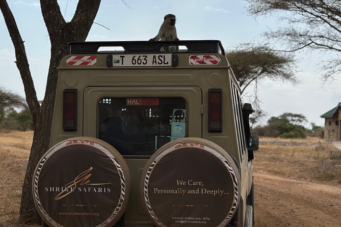 Serengeti 2-Day Safari from Mwanza - Day 2 at Grumeti River: Hippos, Crocs, and Migration Odds