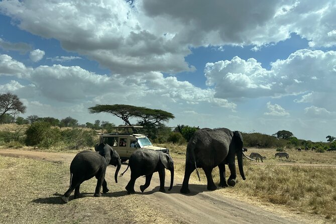 Serengeti 2-Day Safari from Mwanza - What You’ll Actually Do Each Day, in Plain Terms
