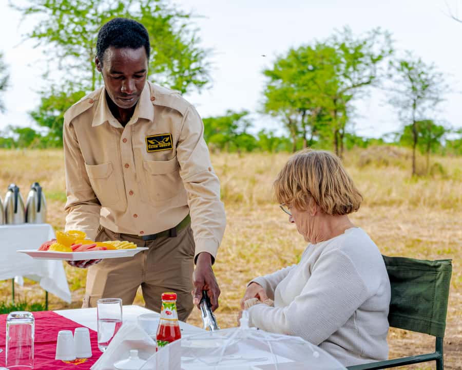 Serengeti Balloon Ride and Luxury Bush Breakfast - Price and value: what $550 buys you in Serengeti