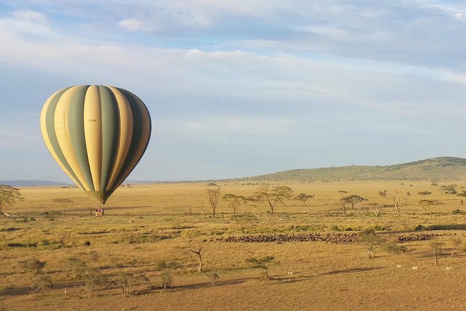 Serengeti Balloon Safari and authentic bush breakfast - The 5 am timing, the pre-dawn transfer, and what the morning actually feels like