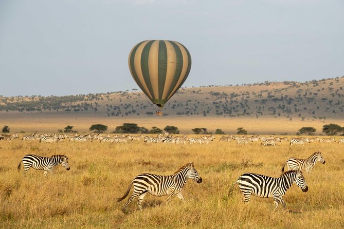 Serengeti Balloon Safari and authentic bush breakfast - The bush breakfast and bubbly: why the landing celebration is part of the magic