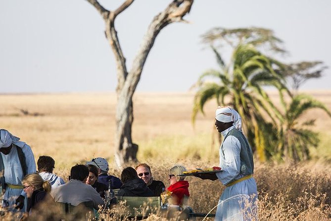 Serengeti Balloon Safari and authentic bush breakfast - Price and value: is $550 per person worth it?
