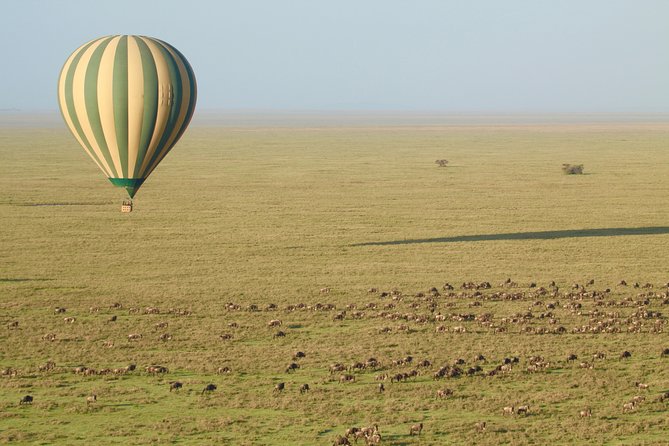 Serengeti Balloon Safari and authentic bush breakfast - Who this suits best, and who might reconsider