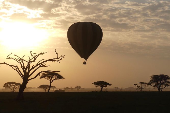 Serengeti Day Trip Tour from Mwanza - The Big Idea: A One-Day Serengeti That Still Feels Like Serengeti