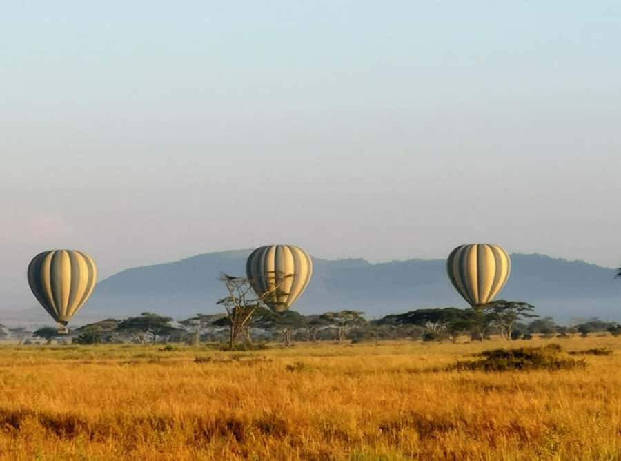 Serengeti: Hot Air Balloon Flight with Champagne Breakfast - Weather day reality: what could change your plans