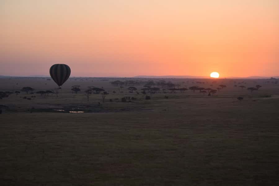 Serengeti National Park: Balloon Safari at Dawn - The Acacia-Tree Bush Breakfast: Real Safari-Style Comfort
