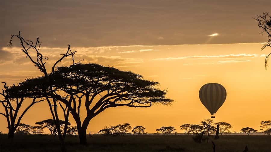 Serengeti National Park: Balloon Safari at Dawn - Price and Logistics: Is This a $599 Worth-It Moment?