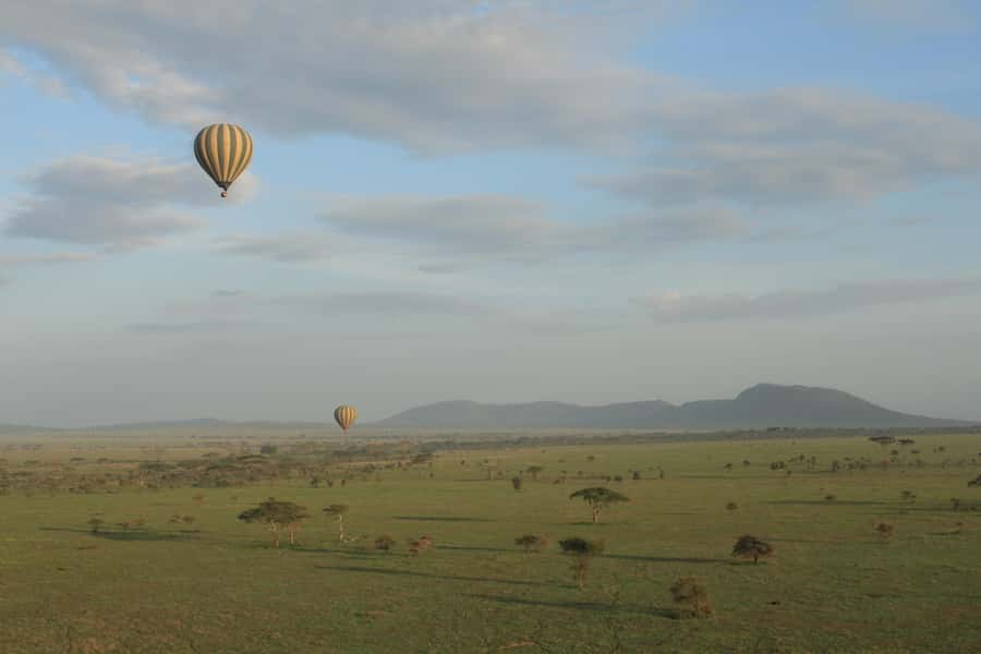 Serengeti National Park: Balloon Safari at Dawn - Should You Book the Serengeti Balloon Safari at Dawn?