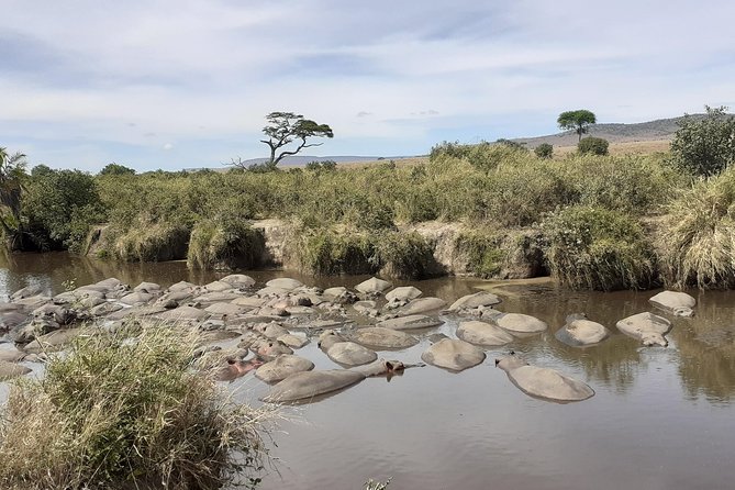 SERENGETI NATIONAL PARK Tour - Day 6: Lake Manyara National Park and the Ride Back to Arusha or Moshi