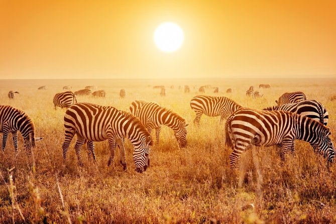 SERENGETI NATIONAL PARK Tour - Day 1: 372 Km From Arusha or Moshi, Plus a Break in Mto wa Mbu