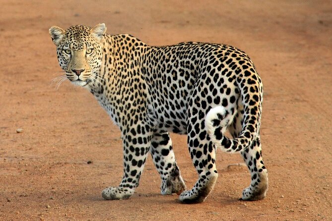 Serengeti & Ngorongoro 3 Days Budget Safari - Budget Safari That Hits Two Icons in Three Days