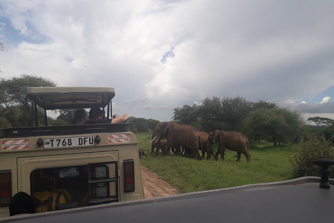 Serengeti & Ngorongoro 3 Days Budget Safari - Pickup, Group Size, and Mobile Ticket Reality