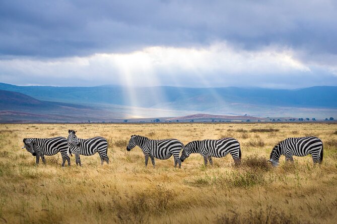 Serengeti & Ngorongoro 3 Days Budget Safari - Day 1 From Arusha to Serengeti, With a Quick Ngorongoro Moment