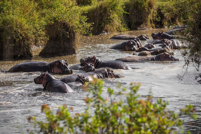 serengeti & ngorongoro 3 days private tour - Entering Ngorongoro Conservation Area, crater views, and the Maasai village choice