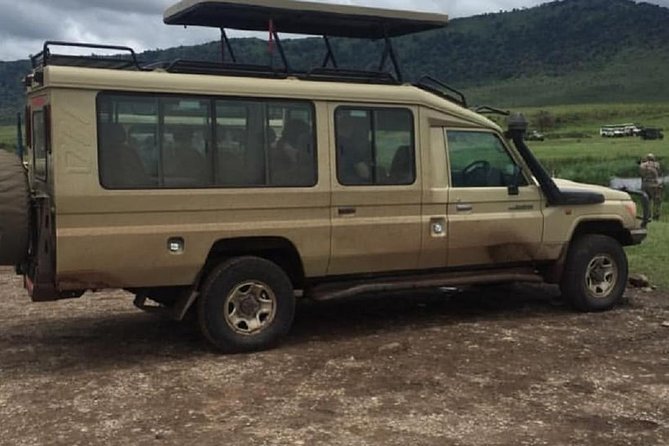 serengeti & ngorongoro 3 days private tour - Serengeti Seronera afternoon game drive, sunset time, and camp life