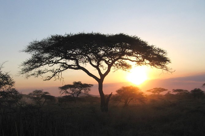 Serengeti Tour – 7Days/6 nights (4 stars accommodations) - Serengeti: landscape first, then river pressure and predator chase