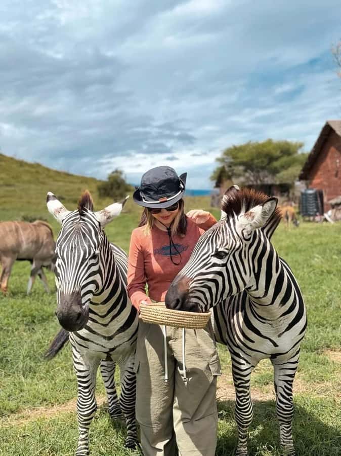 SERVAL WILDLIFE DAY - TOUR FROM ARUSHA, MOSHI OR ZANZIBAR. - Key highlights to know before you go