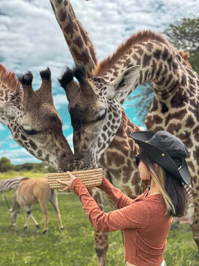 SERVAL WILDLIFE DAY - TOUR FROM ARUSHA, MOSHI OR ZANZIBAR. - Serval Wildlife Day near Kilimanjaro: what this trip is really about