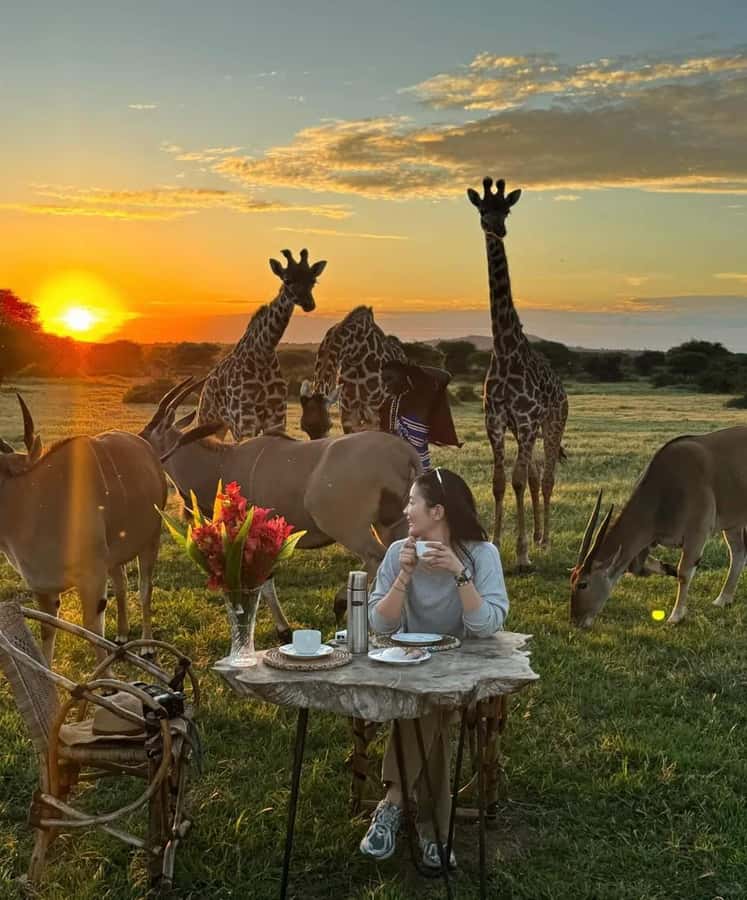SERVAL WILDLIFE DAY - TOUR FROM ARUSHA, MOSHI OR ZANZIBAR. - On-site guided walking tour: spotting servals and other wildlife on foot
