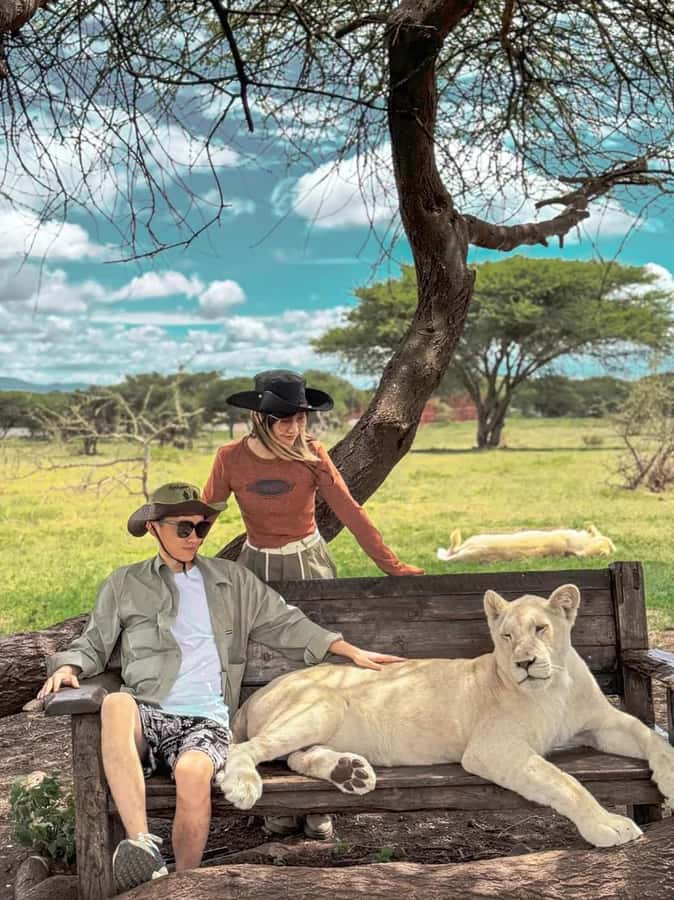 SERVAL WILDLIFE DAY - TOUR FROM ARUSHA, MOSHI OR ZANZIBAR. - Getting to the wildlife area: pickup options and the drive realities