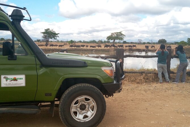 Short Safari from Dar es Salaam to Mikumi National Park - 2 Days - What you can realistically spot in Mikumi in just two days