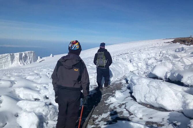 Small-group 7-day Lemosho Route Kilimanjaro Climb from Arusha - Day 6 summit night: Stella Point, sunrise, and Uhuru Peak