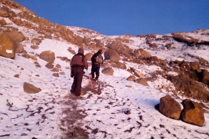 Small-group 7-day Lemosho Route Kilimanjaro Climb from Arusha - Day 7: Mweka Park Gate descent, mud risk, and a return to Moshi