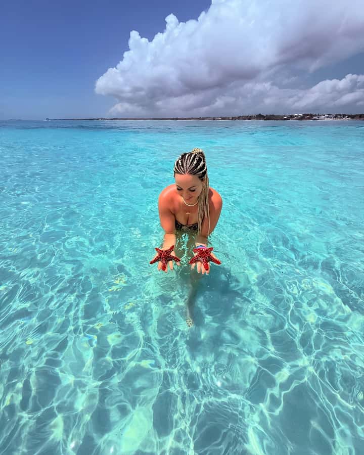 Snorkel Mnemba’s Reefs & Swim with Dolphins Adventure - Key things to know before you go
