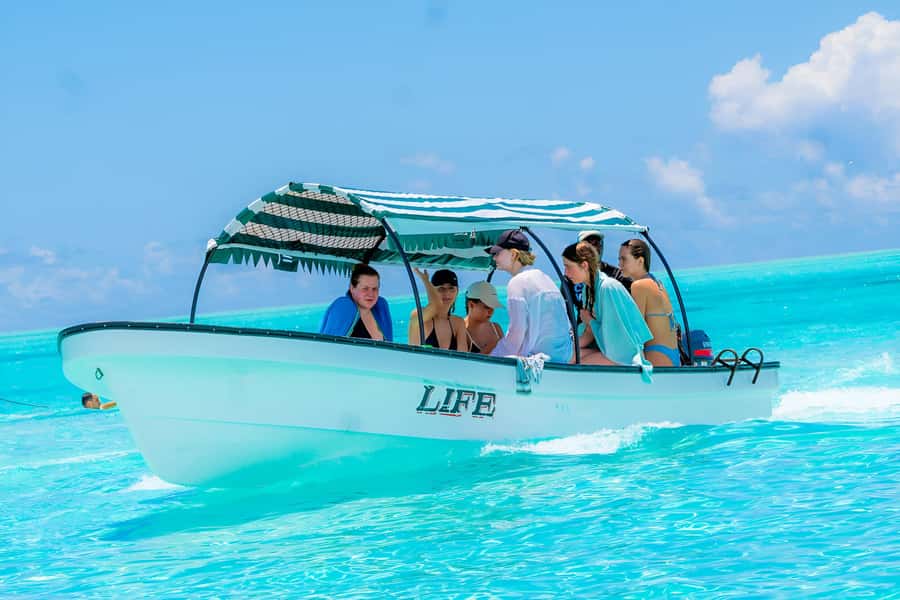 Snorkel Mnemba’s Reefs & Swim with Dolphins Adventure - Group size, pace, and the “busy water” factor