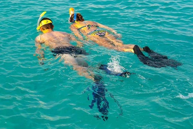 Snorkeling at Mnemba Atoll - Key highlights you’ll actually care about