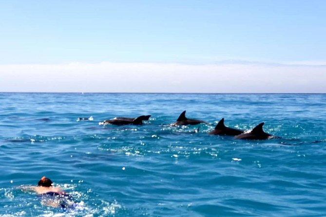 Snorkeling at Mnemba Atoll - Why Mnemba Atoll snorkeling is such a big deal near Zanzibar