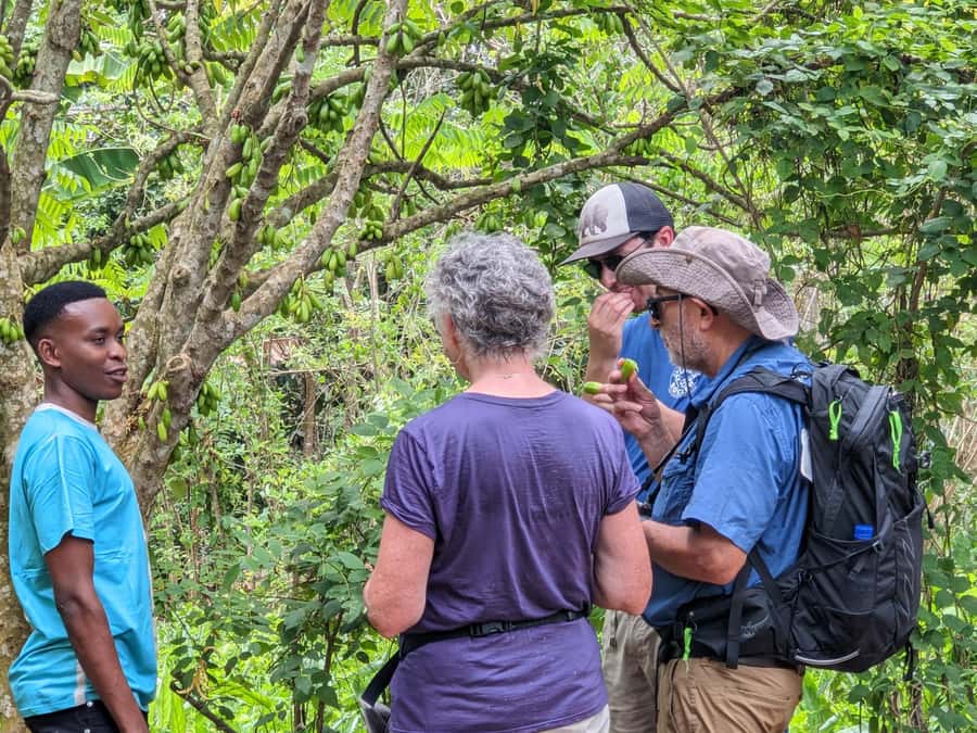 Spice Farm Bike Tour: Pedal Through Aromatic Adventures - From Stone Town Streets to a Spice Farm, Why This Tour Feels Different