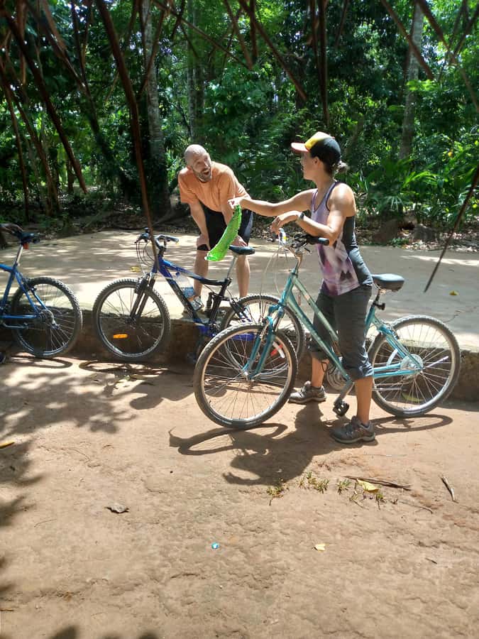 Spice Farm Bike Tour: Pedal Through Aromatic Adventures - Your Spice Farm Stop: Tastings, Stories, and a Real Working Place