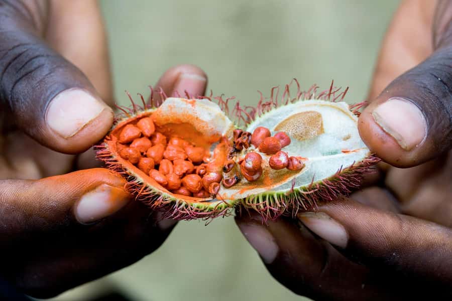 Spice Farm - spice up your life in Zanzibar - Who Should Book This Spice Farm Tour